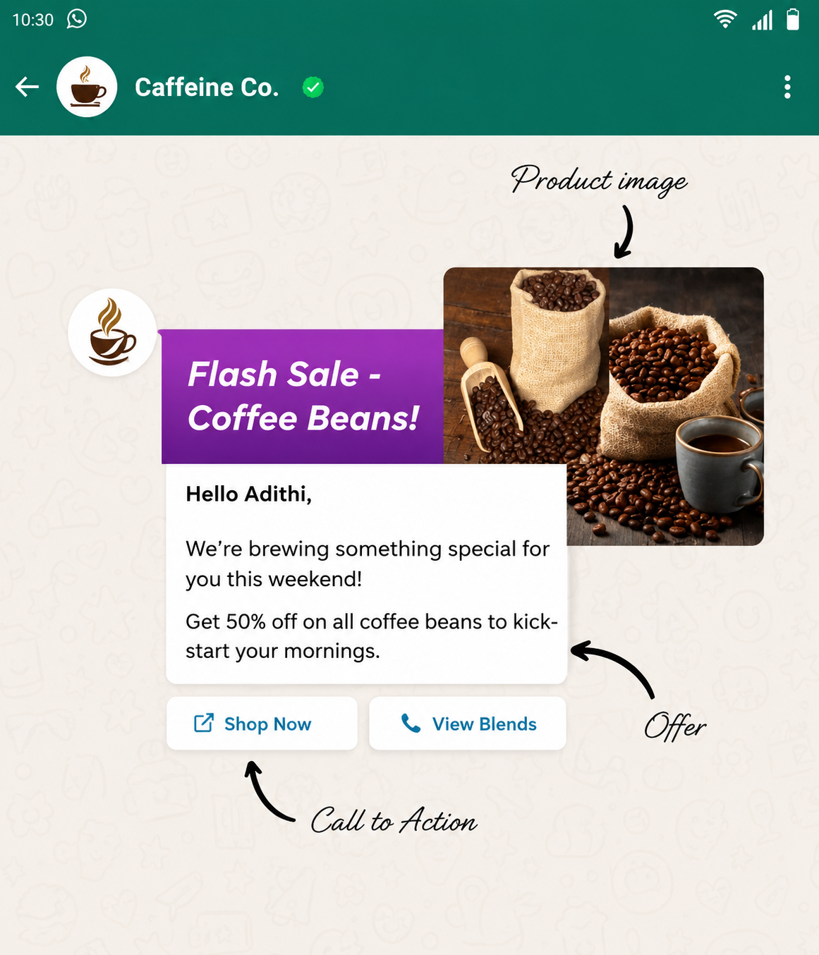 Send WhatsApp Broadcasts to Unlimited Contacts