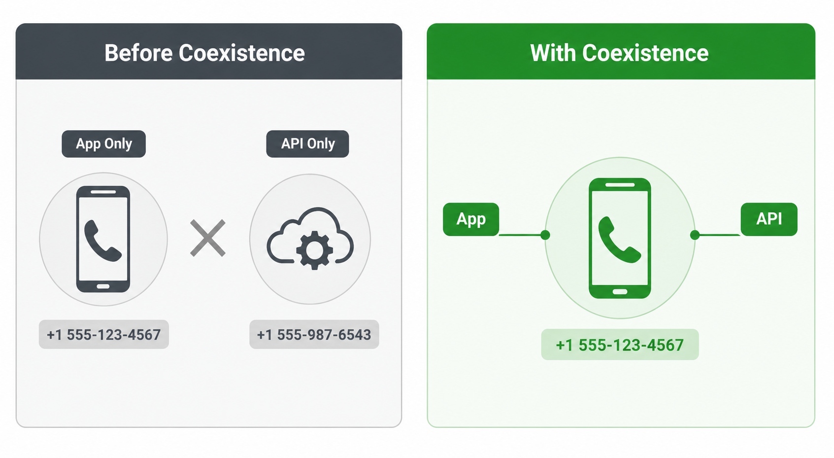 What Is WhatsApp Coexistence